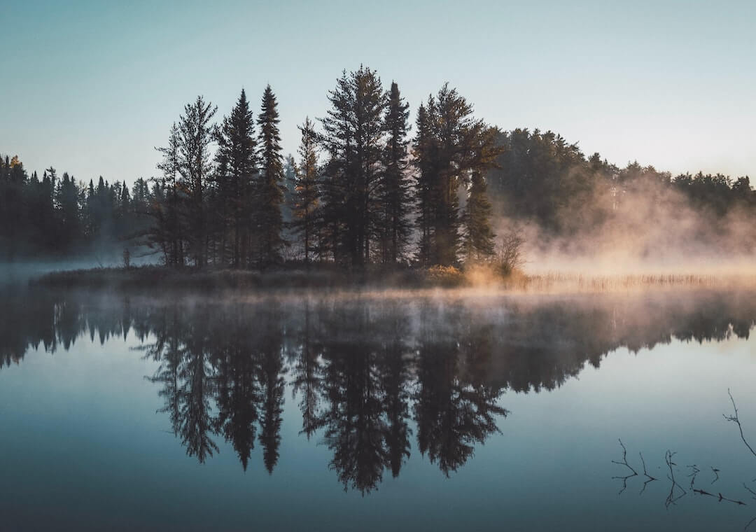 A lake with pine trees